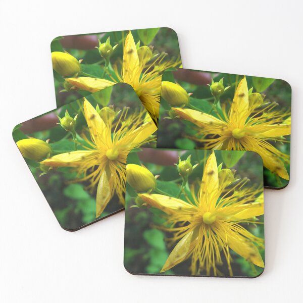 Item preview, Sun flower designed and sold by alanoix.
