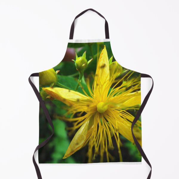 Item preview, Sun flower designed and sold by alanoix.