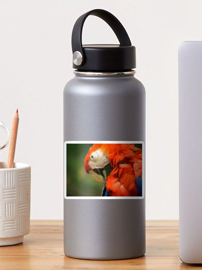 Thumbnail 1 of 3, Sticker, Red Parrot, the Scarlet Macaw – portrait designed and sold by steppeland.