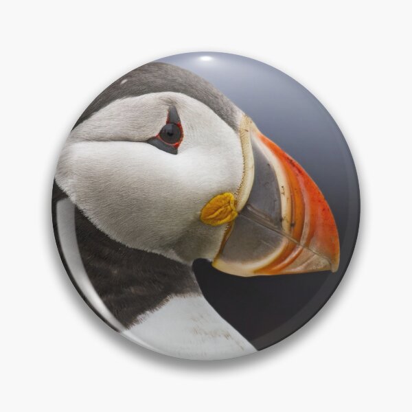 Item preview, Puffin Portrait designed and sold by Glenn Welch.
