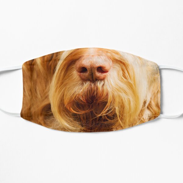 Soft Spinone Nose Mask
