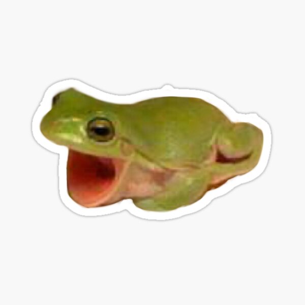 "frog screaming " Sticker for Sale by vanillastorm Redbubble