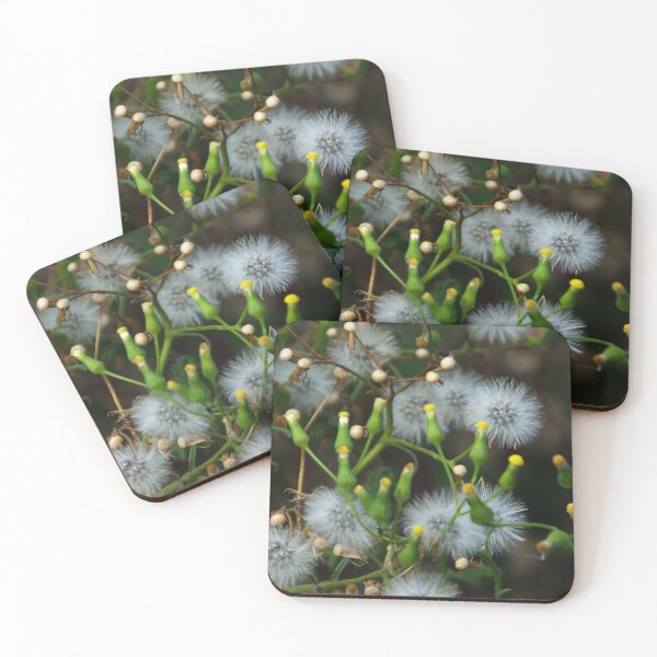 Item preview, Vaporous softness designed and sold by alanoix.