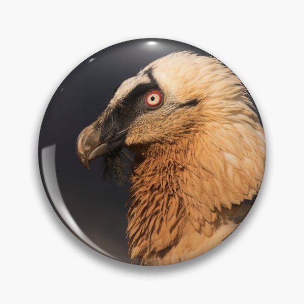 Item preview, Bearded Vulture Portrait designed and sold by Glenn Welch.