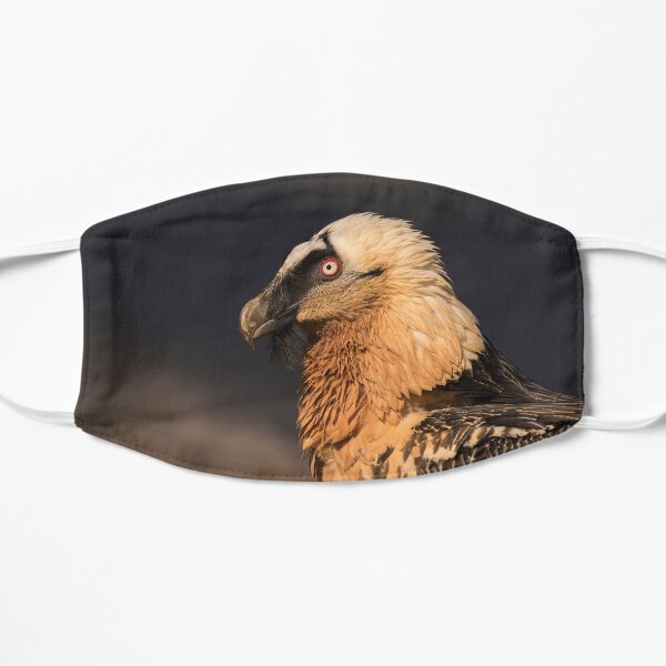 Bearded Vulture Portrait Flat Mask