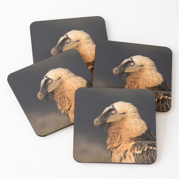 Item preview, Bearded Vulture Portrait designed and sold by Glenn Welch.
