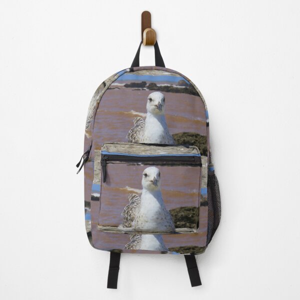 Item preview, Sitting seagull designed and sold by AHELENE.