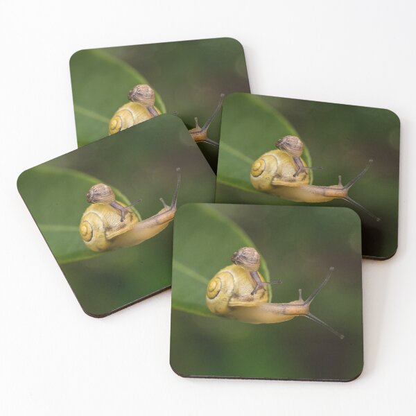 Item preview, Can not go any further. Funny wildlife photography. designed and sold by Kipcio.