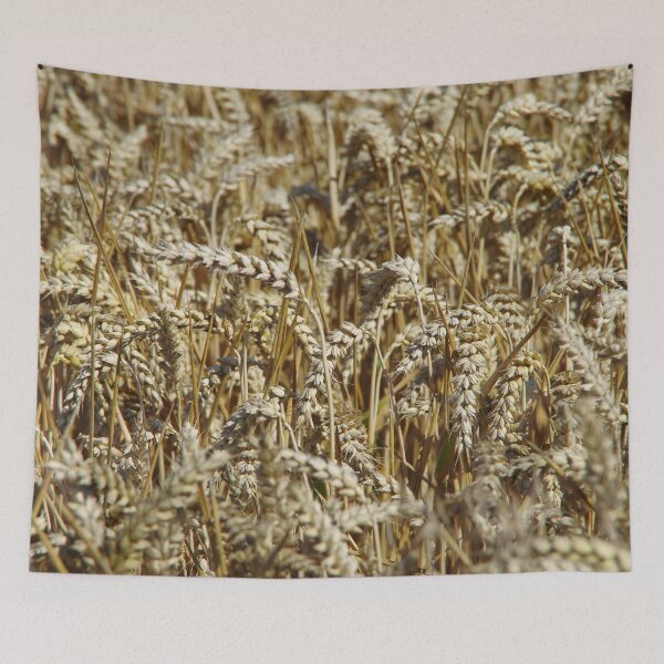 Item preview, White fields designed and sold by Treemonk.