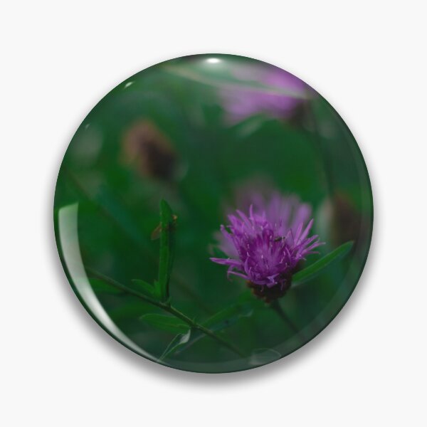 Item preview, Nature photography of knapweed designed and sold by Elsterart.