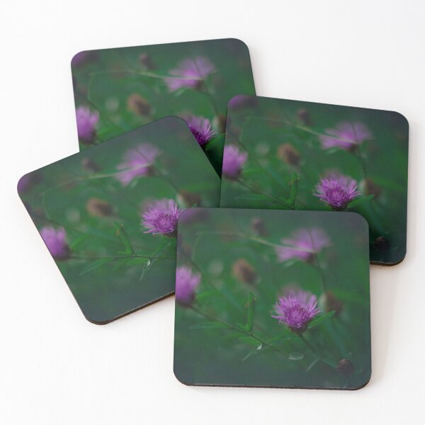 Item preview, Nature photography of knapweed designed and sold by Elsterart.