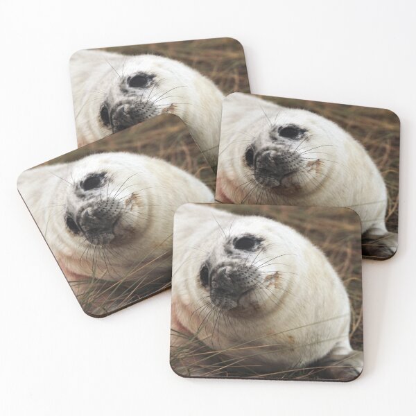Item preview, How Cute Am I? designed and sold by Paul Thompson Photography.