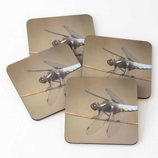 Item preview, Broad Bodied Chaser Dragonfly designed and sold by Glenn Welch.