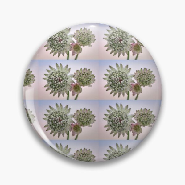 Item preview,  Astrantia Cluster designed and sold by John Ray.