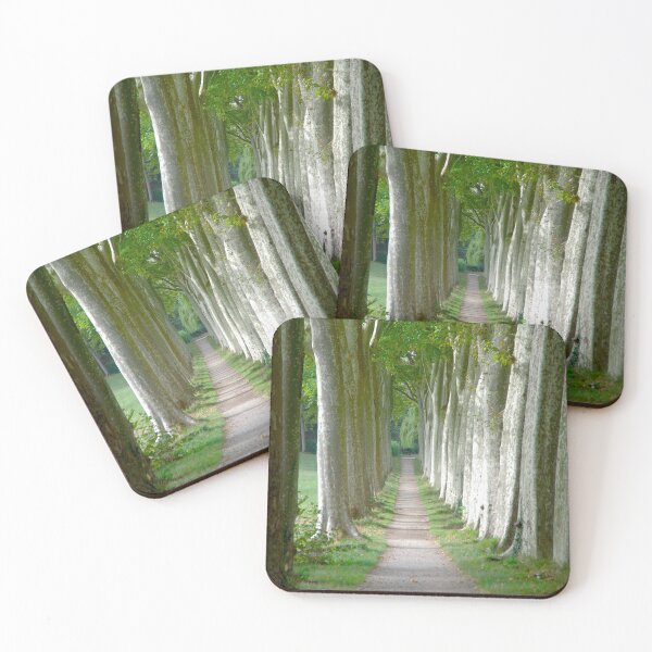 Item preview, Plane tree alley designed and sold by Treemonk.