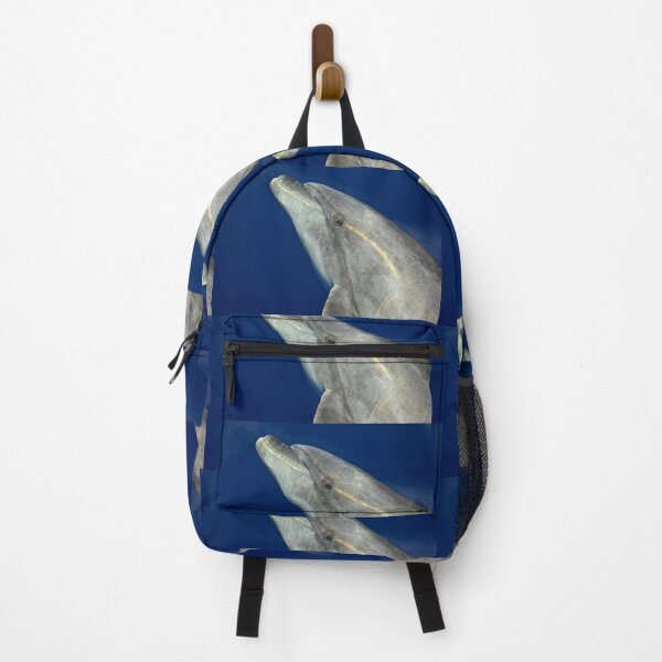 Item preview, Making friends with a bottlenose dolphin designed and sold by chloeyzoard.