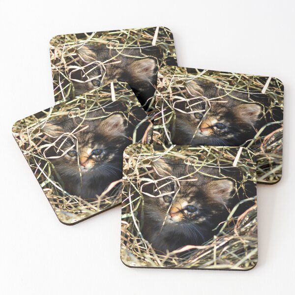 Item preview, Tabby Cat Cuteness  designed and sold by north10creation.