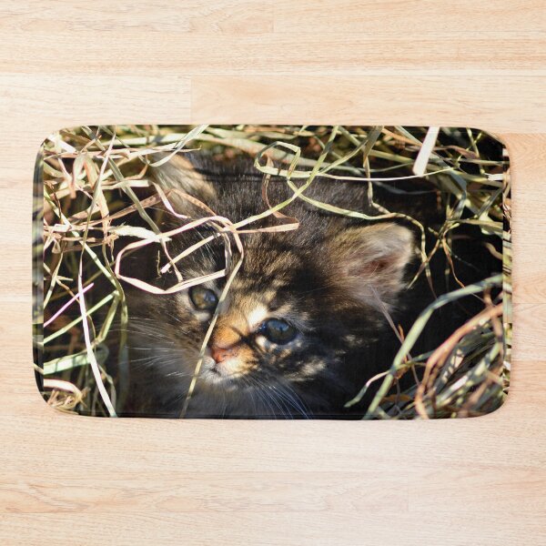 Item preview, Tabby Cat Cuteness  designed and sold by north10creation.