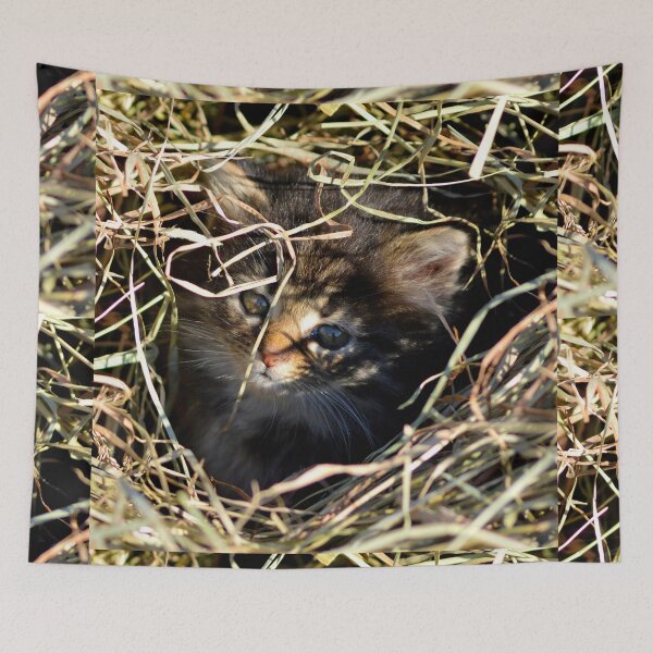 Item preview, Tabby Cat Cuteness  designed and sold by north10creation.