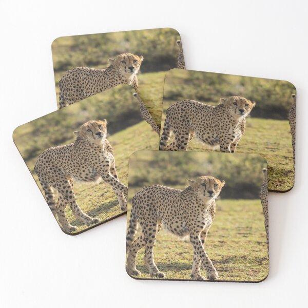 Item preview, Cheetahs designed and sold by Glenn Welch.