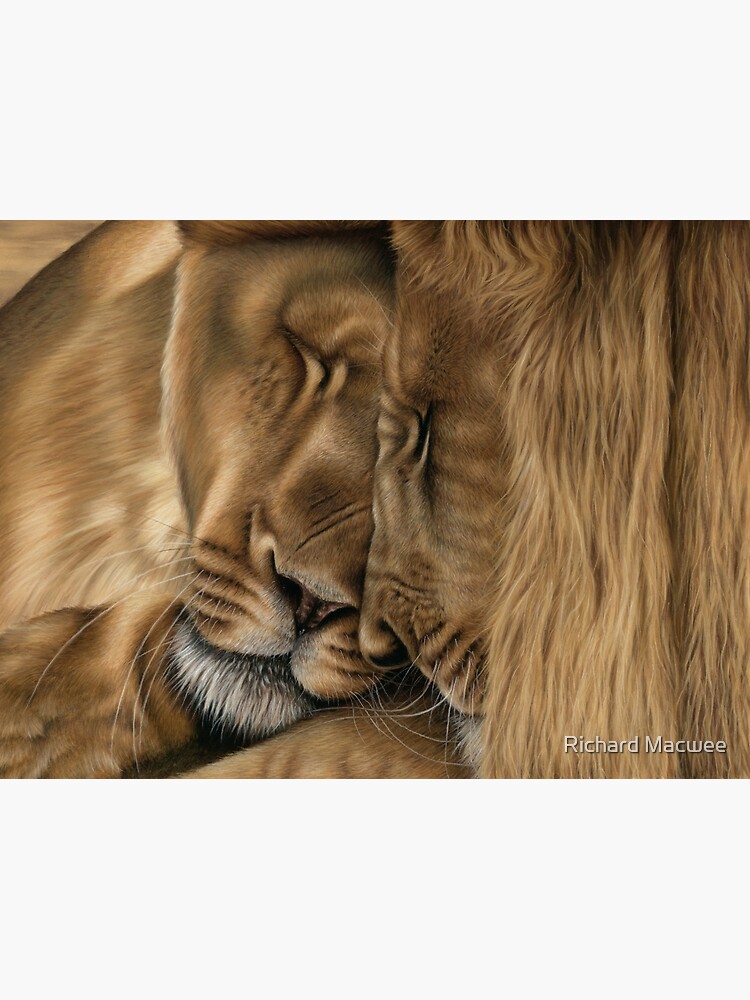 Wildlife Artwork of two lions by richardmacwee