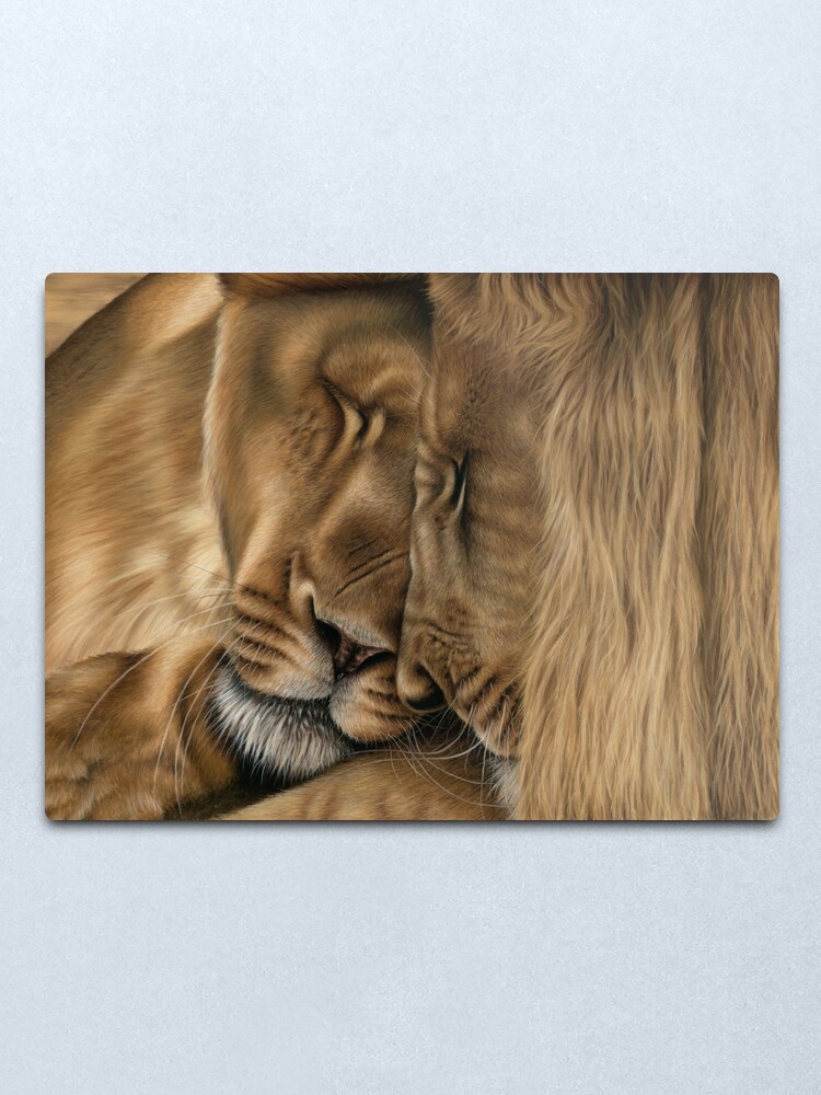 Alternate view of Wildlife Artwork of two lions Metal Print