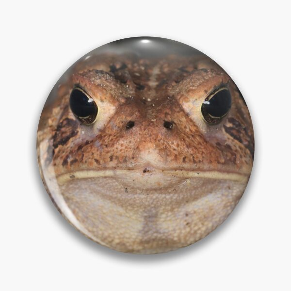 Item preview, Toad designed and sold by mark-bugs-org.