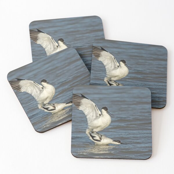 Item preview, Avocets Mating designed and sold by Glenn Welch.