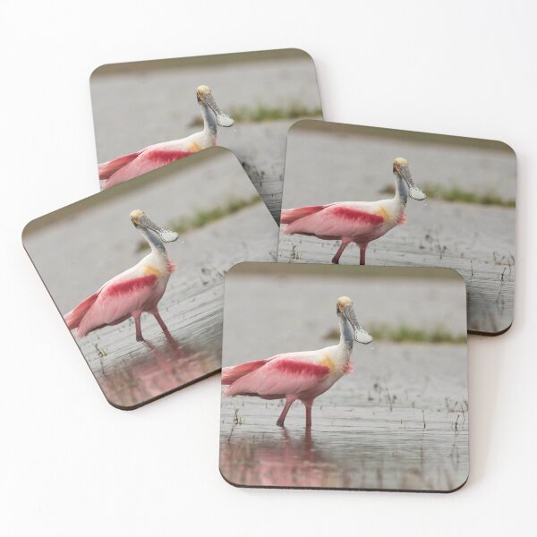 Item preview, Roseate Spoonbill designed and sold by Glenn Welch.