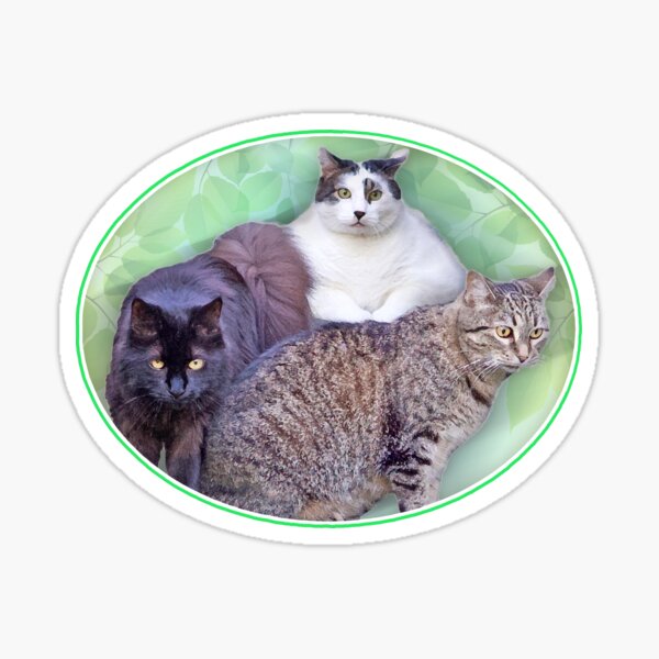 Tres Amigos Sticker