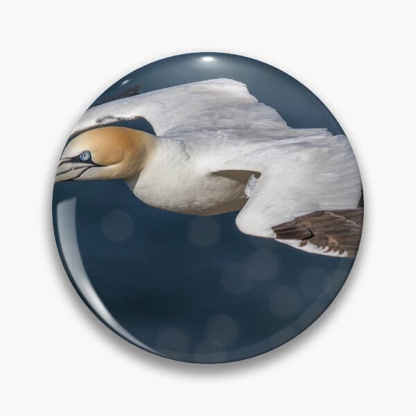 Item preview, Gannet in Flight designed and sold by Glenn Welch.