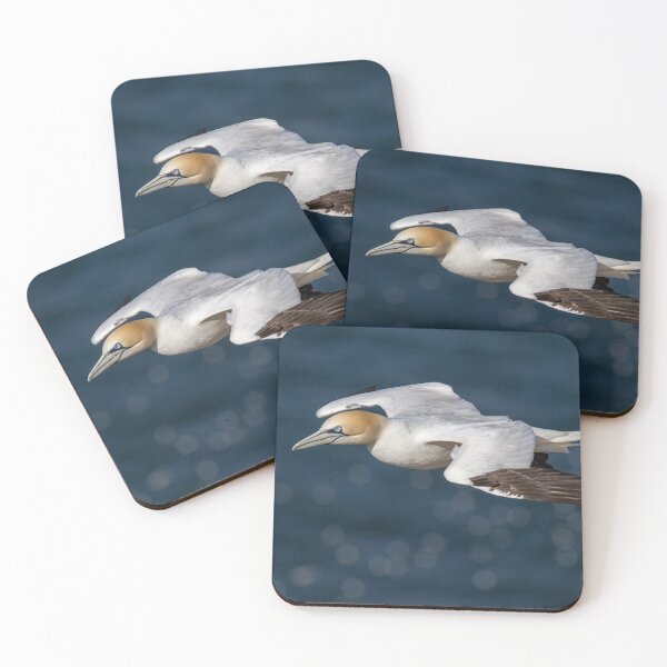 Item preview, Gannet in Flight designed and sold by Glenn Welch.