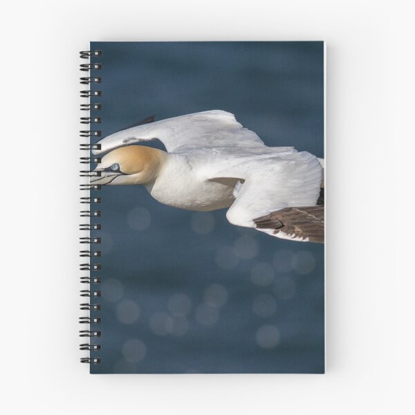 Item preview, Gannet in Flight designed and sold by Glenn Welch.