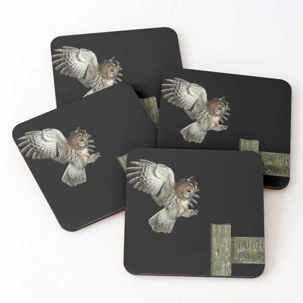Item preview, Tawny Owl Landing designed and sold by Glenn Welch.