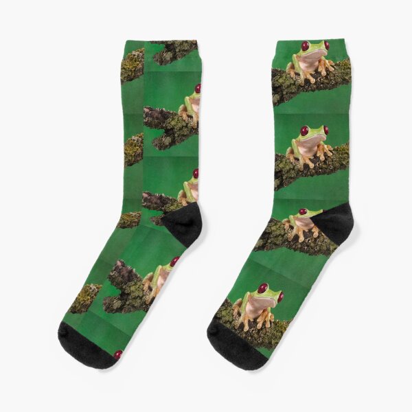 Ruby eyed tree frog Socks