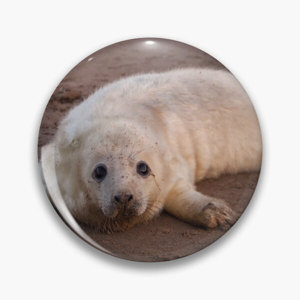 Item preview, Grey Seal Pup designed and sold by Glenn Welch.