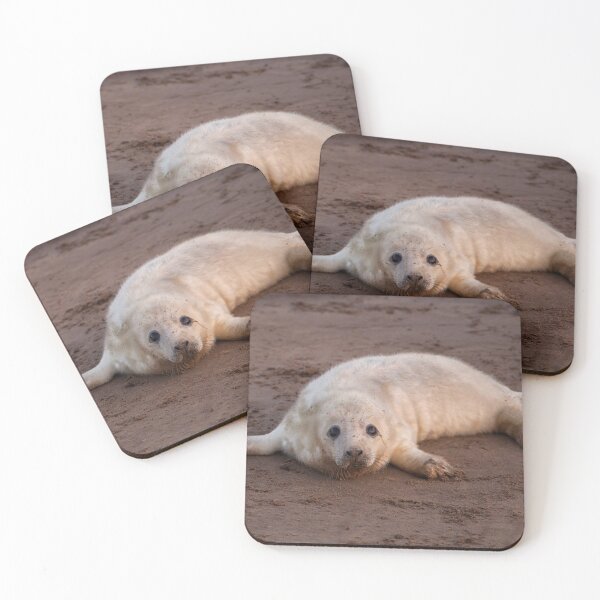 Item preview, Grey Seal Pup designed and sold by Glenn Welch.