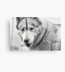 Endearing Canvas Print