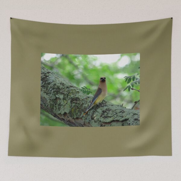Item preview, Cedar Waxwing designed and sold by Finding Fortuity.
