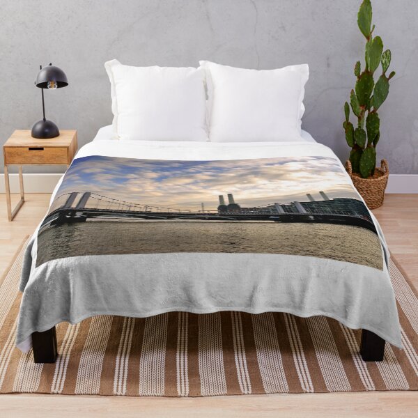 Item preview, Chelsea Bridge Battersea Power Station London designed and sold by AndyEvansPhotos.
