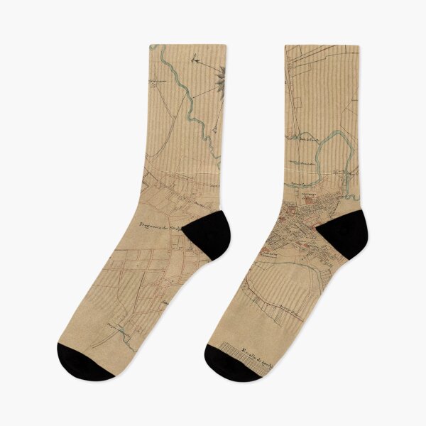Item preview, Vintage Map of Sao Paulo Brazil (1847) designed and sold by BravuraMedia.