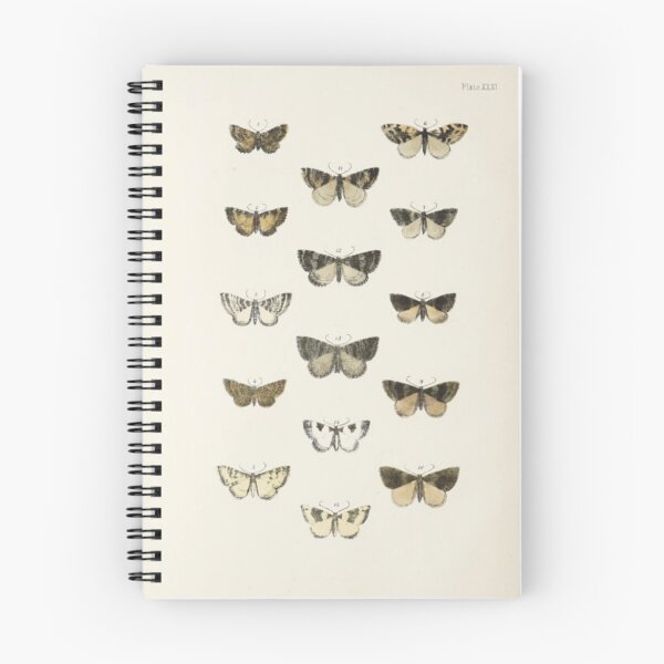 Item preview, Naturalist Moths designed and sold by BlueSpecsStudio.