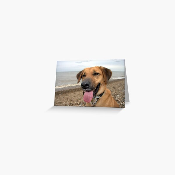 Happy Dog on the Beach Greeting Card
