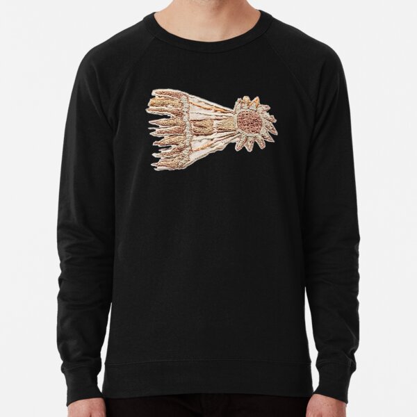 Bayeux Tapestry. Detail of comet. Lightweight Sweatshirt