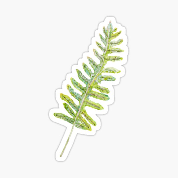 Polypody Fern Sticker