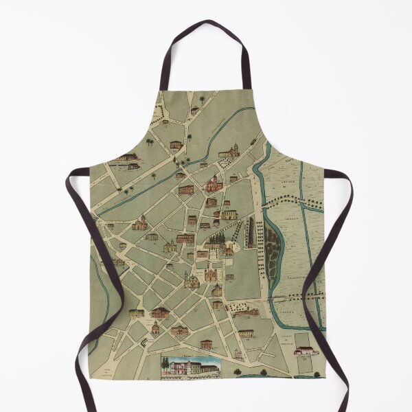 Item preview, Vintage Map of Sao Paulo Brazil (1877) designed and sold by BravuraMedia.