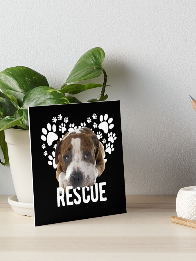 Boxer & Pittie Paws Rescue