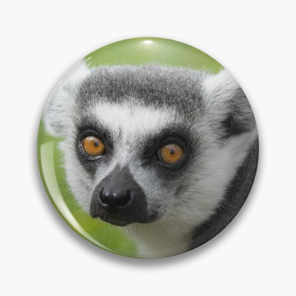 Item preview, Eyes Of A Ring Tailed Lemur designed and sold by rawshutterbug.