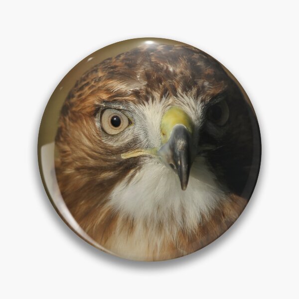 Item preview, Buzzard designed and sold by Jane Stanley Photography.
