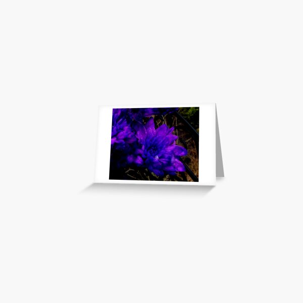 Purple Rain... Greeting Card